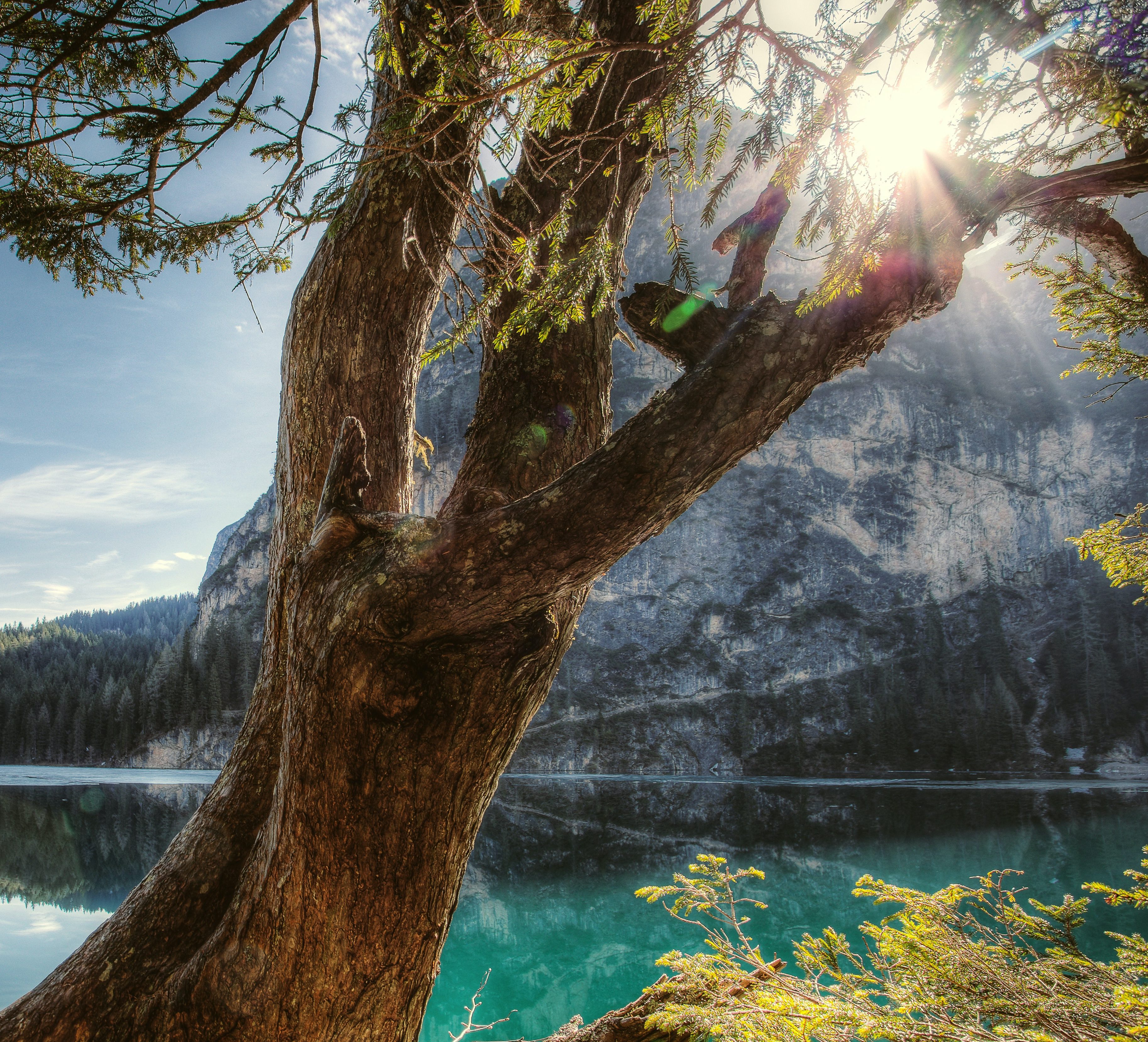 A Small Voice in a Shouting World